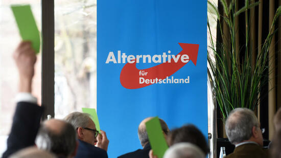 Die AfD legt laut einer Umfrage erneut in ihren Werten zu. Quelle: dpa