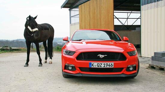 Ford Mustang V8 GT im Handelsblatt-Autotest: Der Wilde Westen in meiner