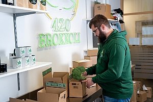 Medizinisches Cannabis kaufen