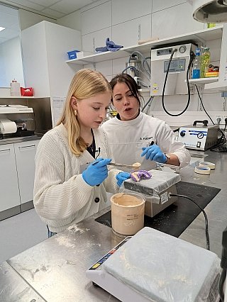 Auszubildende gesucht