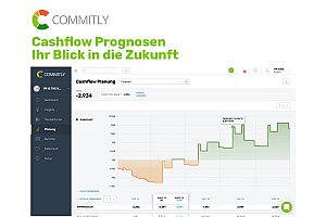 Liquiditätsmanagement
