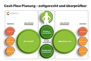 Cash-Flow-Planung