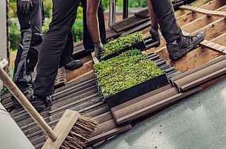 Dachziegelwerke Nelskamp Dachziegelwerke Nelskamp