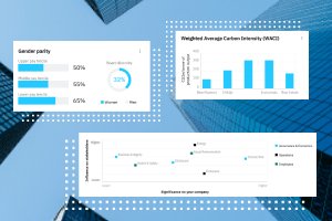 Corporate Sustainability Reporting Directive