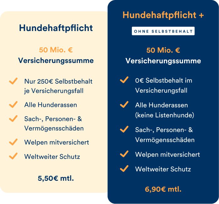 Hundeversicherung im Test