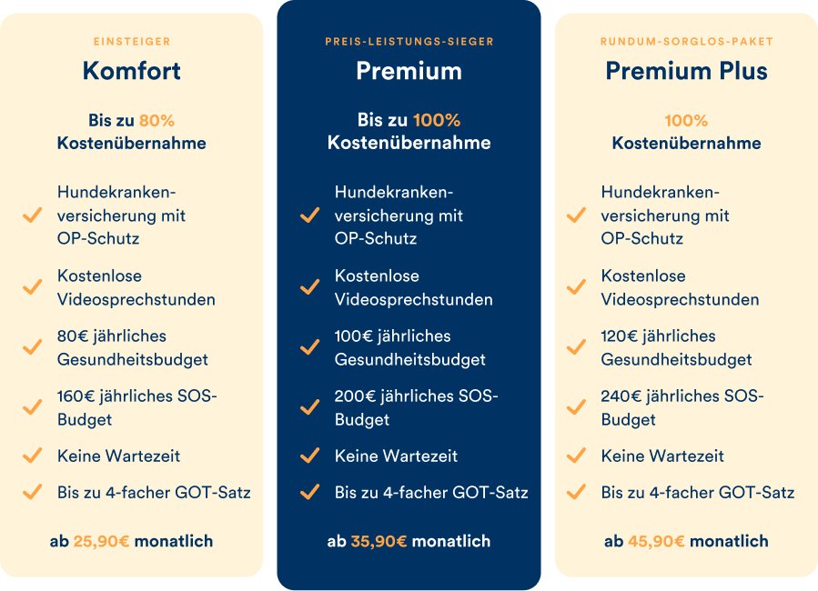 Katzenversicherung mit positiven Erfahrungen