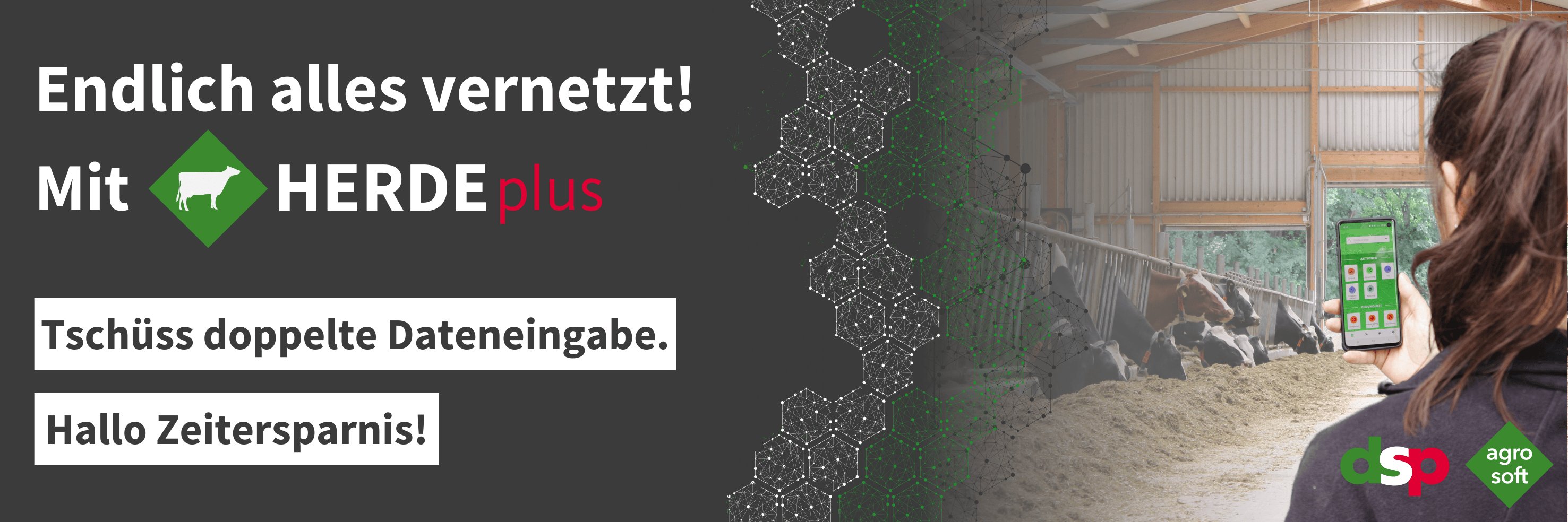 Kopfbild zum Artikel