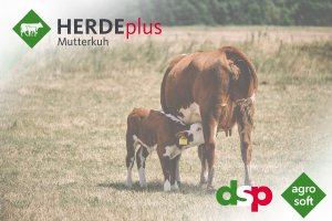 Modernes Herdenmanagement bei Mutterkuhhaltung Modernes Herdenmanagement bei Mutterkuhhaltung