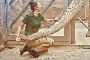 Sicherheitsschuhe für Frauen