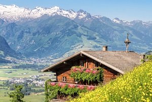 Haus kaufen Zell am See