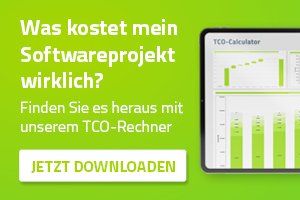 Software entwickeln lassen