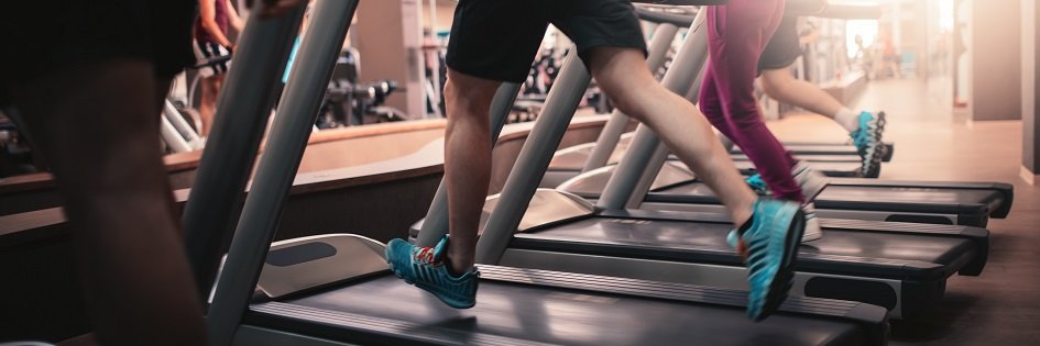 Kopfbild zum Artikel