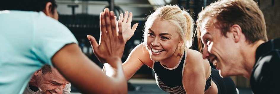 Kopfbild zum Artikel