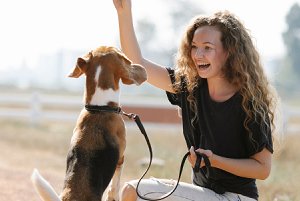Bild zum Artikel: OP-Versicherung Hund Erfahrungen
