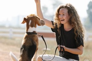 Hundekrankenversicherung: Test durch Dogtorance