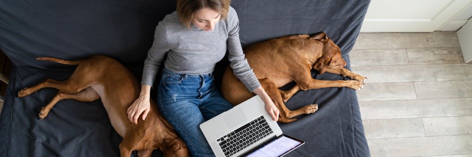 Kopfbild zum Artikel