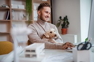 Dogtorance Erfahrungen