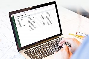 Bild zum Artikel: Projektsteuerungs-Software einsetzen
