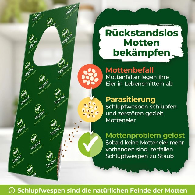 Motten in der Wohnung bekämpfen mit Schlupfwespen