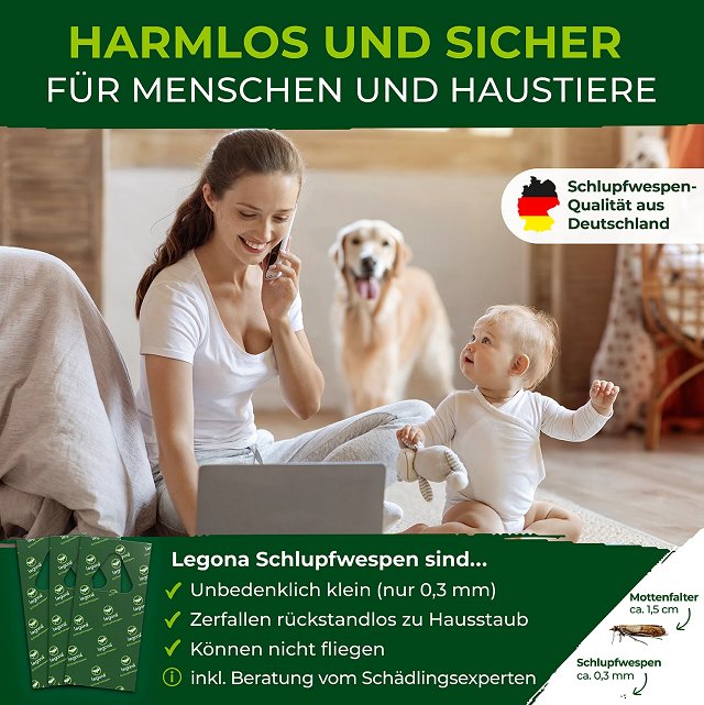 Kopfbild zum Artikel