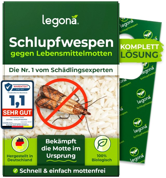 Motten in der Wohnung bekämpfen mit Schlupfwespen