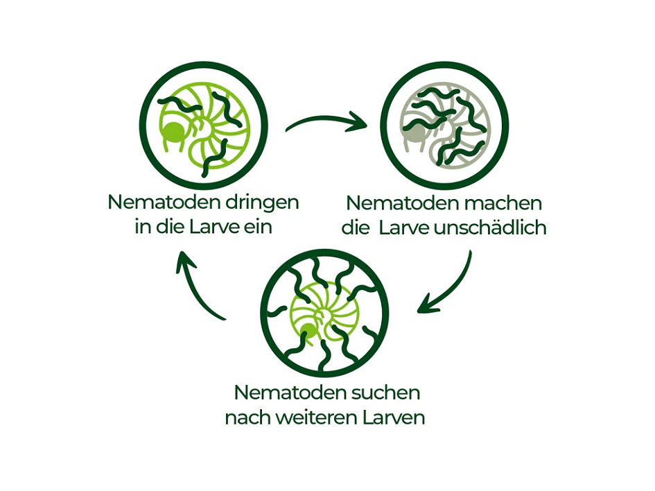 Kopfbild zum Artikel