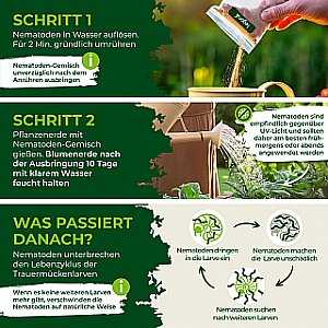 Trauermücken mit SF-Nematoden bekämpfen