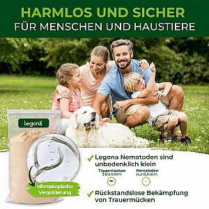 Trauermücken bekämpfen: Erfahrungen mit SF-Nematoden