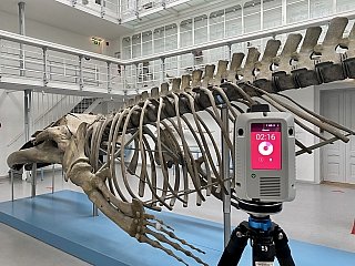 Bild zum Artikel: 3D-Vermessung mit LINSENSPEKTRUM