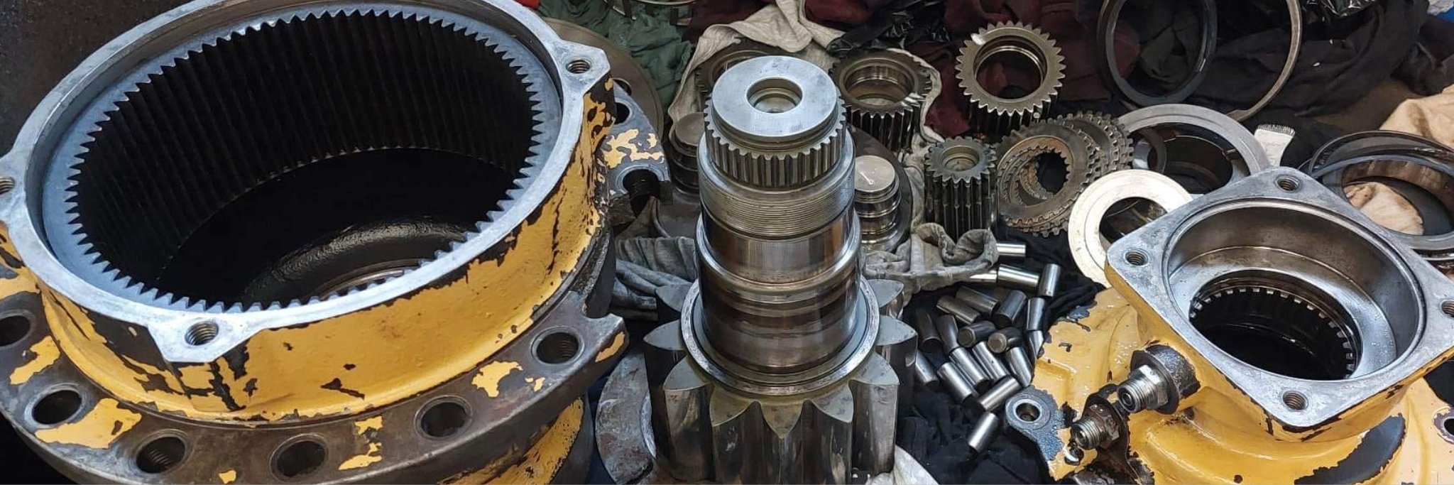 Kopfbild zum Artikel