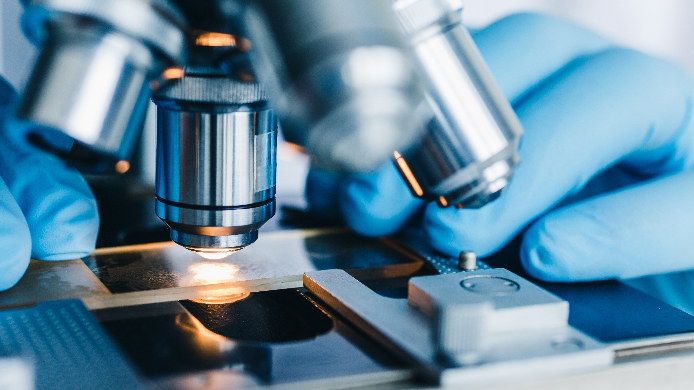 alternativer Bildtext