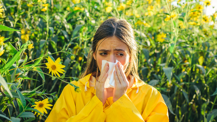 Schwarzkümmelöl Erfahrung