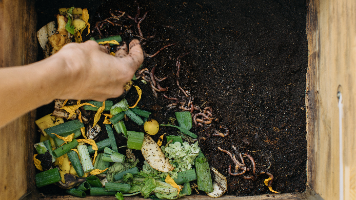Wurmkiste selber bauen