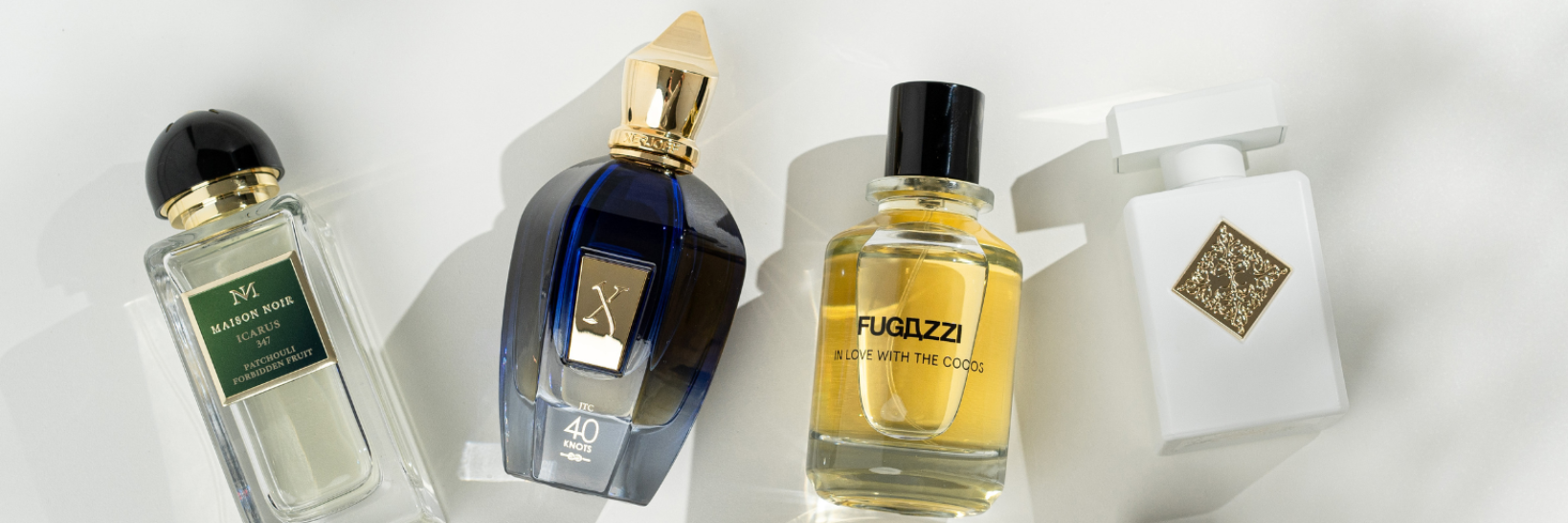 Kopfbild zum Artikel