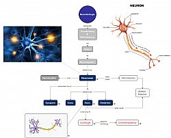 Visualisierung vernetzte Daten | Für Unternehmen