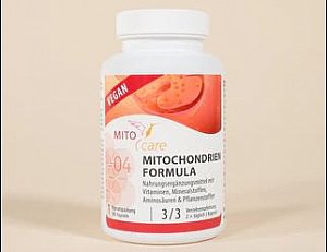 Mitochondrien
