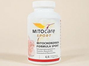 Mitochondrien