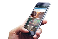 AdmiralCloud, die tagbasierte DAM-Lösung, die alle digitalen Assets unternehmensweit auf einer Plattform vereint