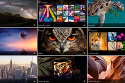 DAM - Digital Asset Management