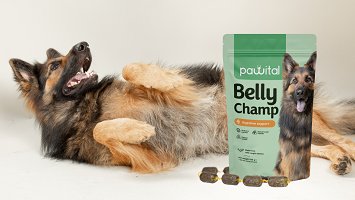 Pawital Belly Champ - gesundes Mikrobiom Pawital Belly Champ - gesundes Mikrobiom
