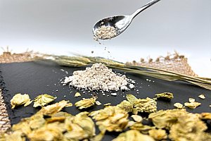 Vegan Protein als Alternative zu Tierprodukten