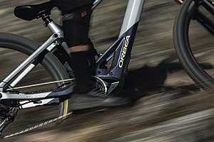 Bosch E-Bike kaufen