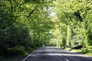 Nachhaltige Mobilität