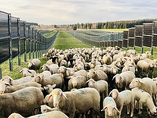 Mit einer Energiegenossenschaft investieren und die Landwirtschaft unterstützen