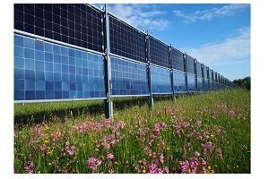 Bild zum Artikel: Solarbeteiligung zu fairen Konditionen