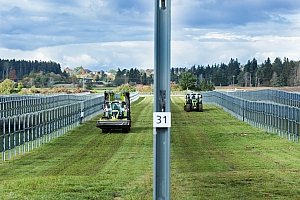 Bild zum Artikel: Von Agrar-Photovoltaik profitieren