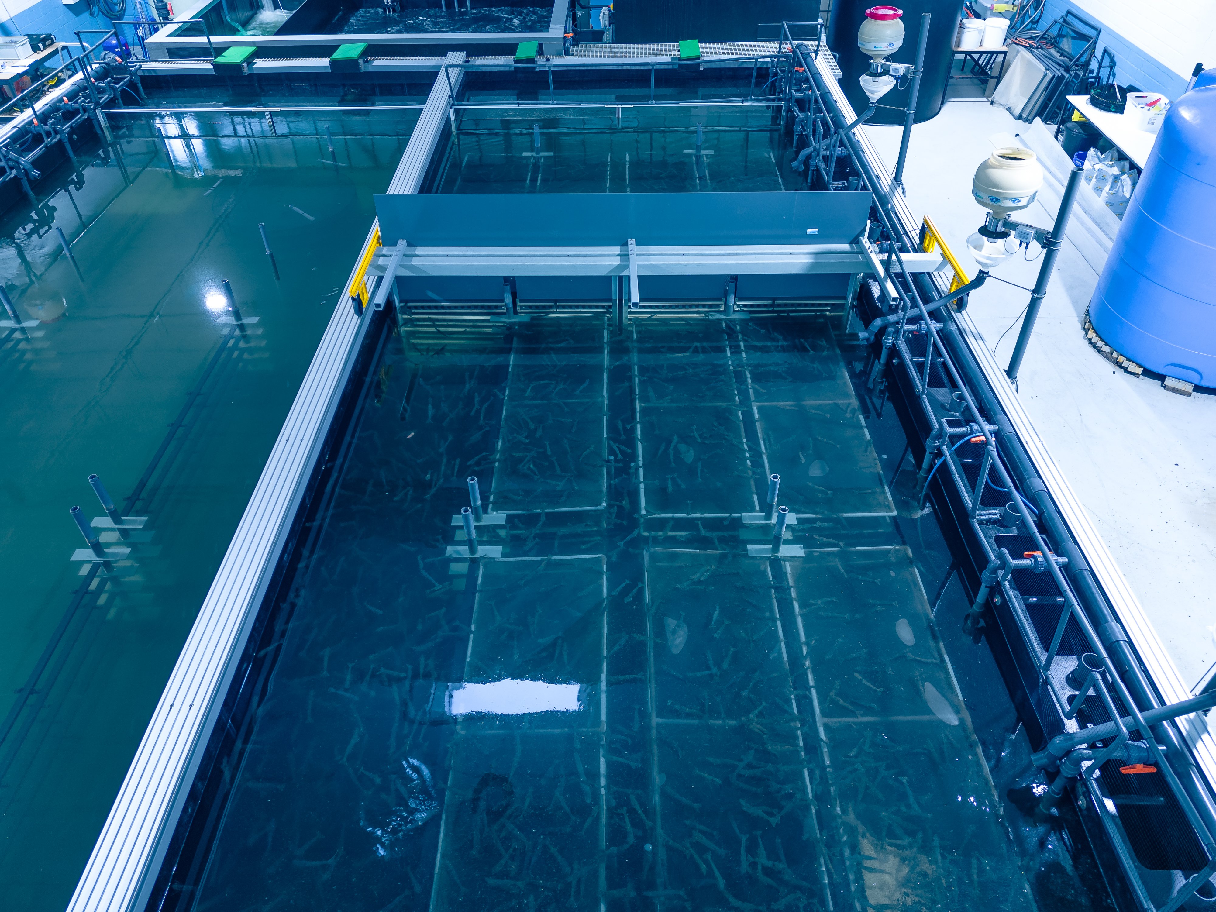 Pilotprojekt Aquakultur