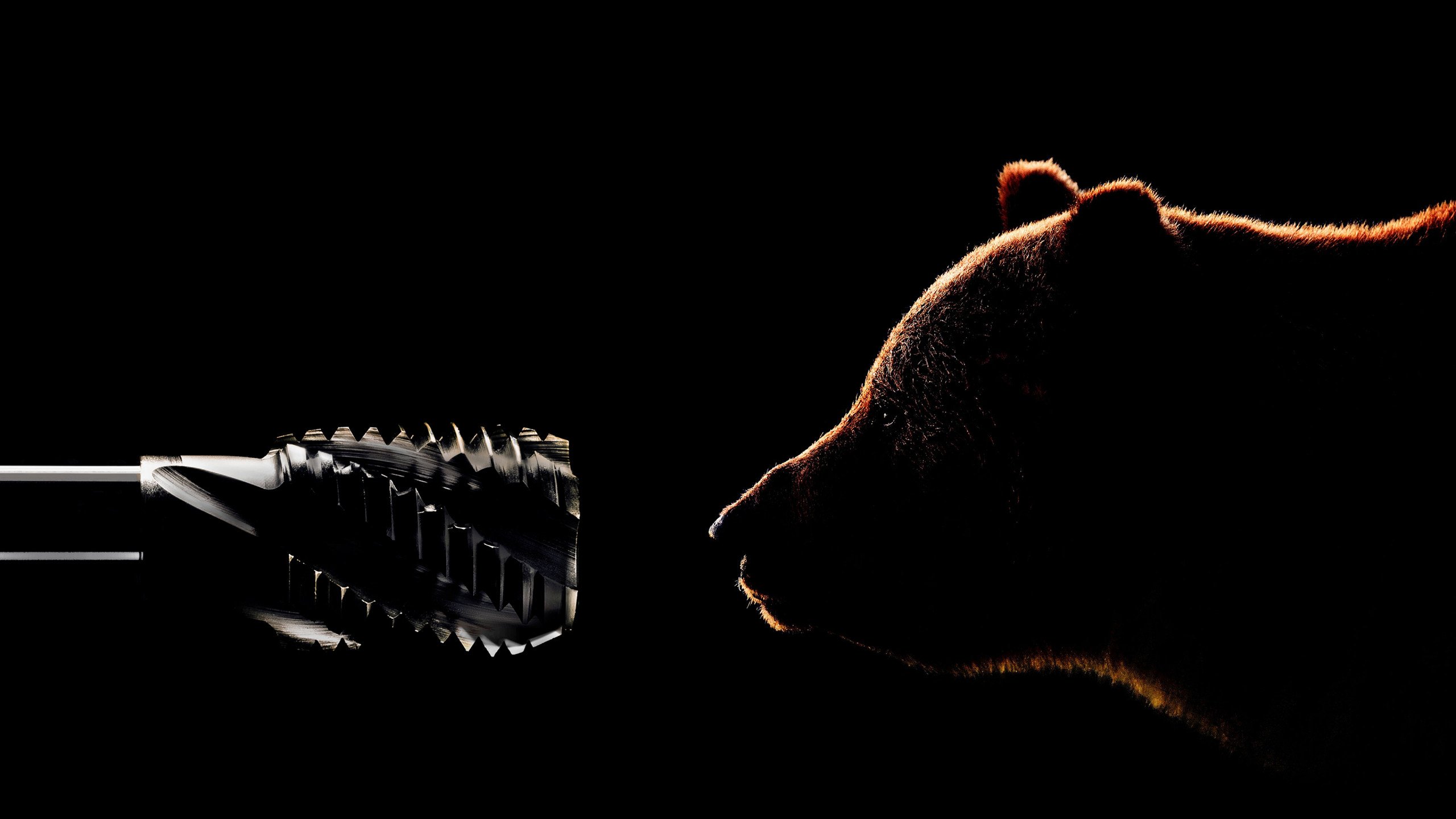 BAER Tools Erfahrungen