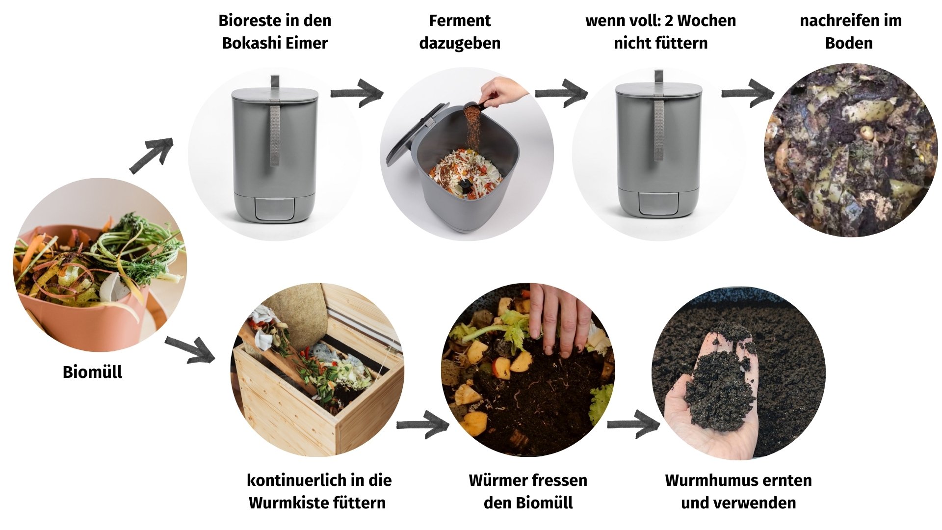 Bokashi vs. Wurmkiste: der Vergleich Bokashi vs. Wurmkiste: der Vergleich