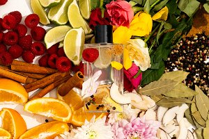 Beste Nischendüfte 2025 kaufen bei PAFORY im Abo